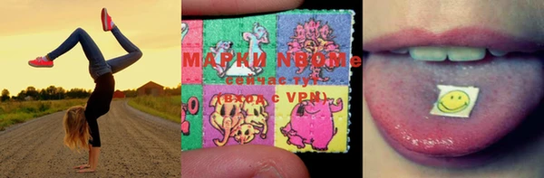 ПСИЛОЦИБИНОВЫЕ ГРИБЫ Бородино