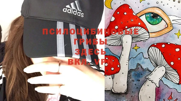 ПСИЛОЦИБИНОВЫЕ ГРИБЫ Бородино