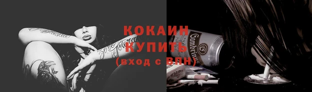 ПСИЛОЦИБИНОВЫЕ ГРИБЫ Бородино
