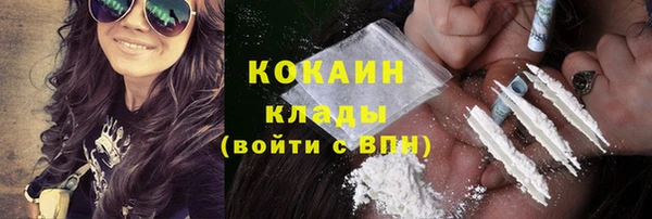 ПСИЛОЦИБИНОВЫЕ ГРИБЫ Бородино