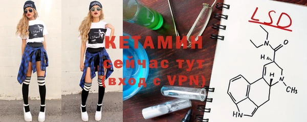 ПСИЛОЦИБИНОВЫЕ ГРИБЫ Бородино