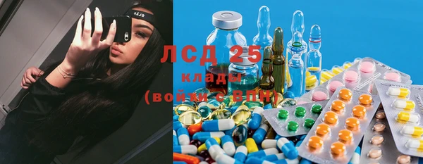 ПСИЛОЦИБИНОВЫЕ ГРИБЫ Бородино